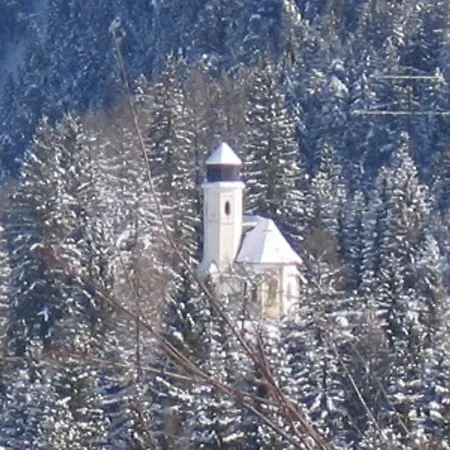Lärchenwald Biberwier