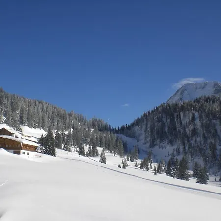 Lärchenwald 3*
